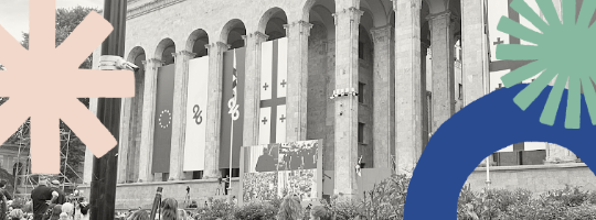 Økonomisk vold Georgien-1-Overview