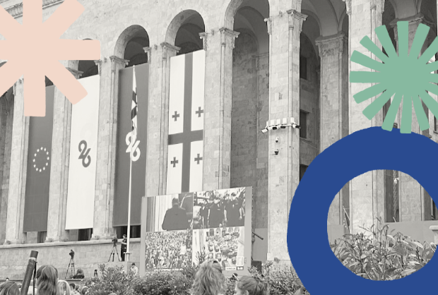 Økonomisk vold Georgien-3-Artikel