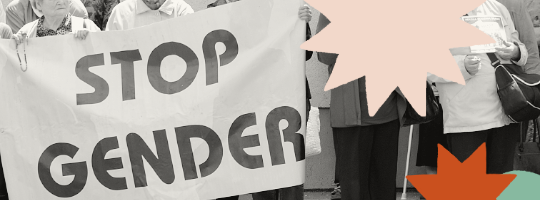 Anti-gender 2024-1-Overview