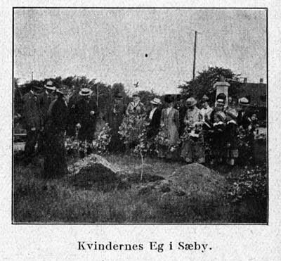 1915_KS_15_231_c.jpg
