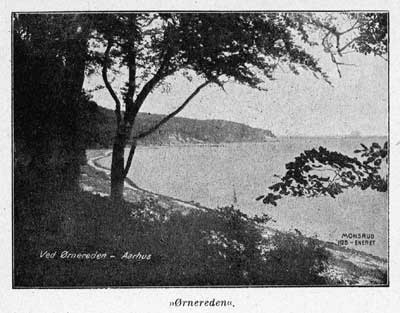1916_KS_11_154_a.jpg