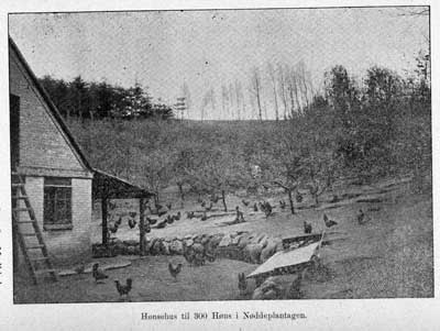 1899_KS_s155.jpg