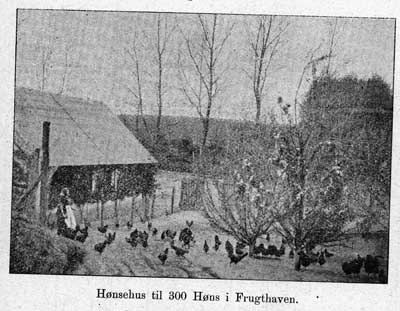 1899_KS_s156.jpg