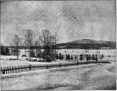 1901_KS_01_01.jpg