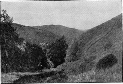 1910_KS_11_120.jpg