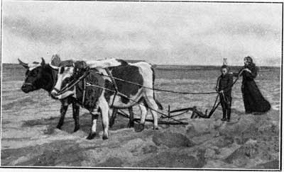 1911_KS_19_213.jpg